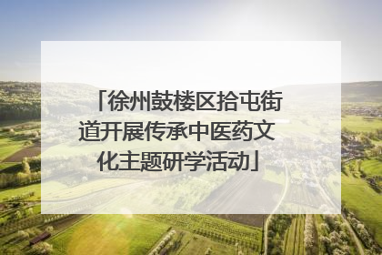 徐州鼓楼区拾屯街道开展传承中医药文化主题研学活动