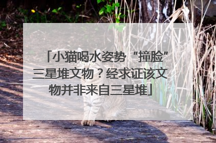 小猫喝水姿势“撞脸”三星堆文物？经求证该文物并非来自三星堆