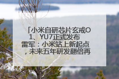 小米自研芯片玄戒O1、YU7正式发布 雷军：小米站上新起点，未来五年研发翻倍再投2000亿元