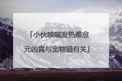 小伙咳喘发热难愈 元凶竟与宠物猫有关