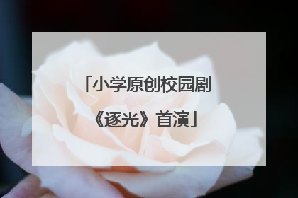 小学原创校园剧《逐光》首演