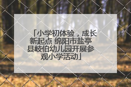 小学初体验，成长新起点 绵阳市盐亭县岐伯幼儿园开展参观小学活动