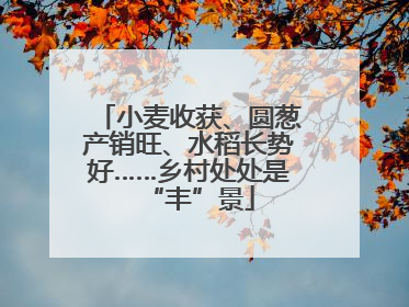 小麦收获、圆葱产销旺、水稻长势好……乡村处处是“丰”景