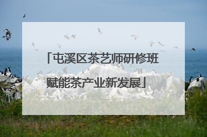 屯溪区茶艺师研修班赋能茶产业新发展