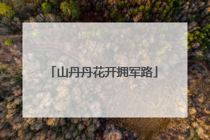 山丹丹花开拥军路