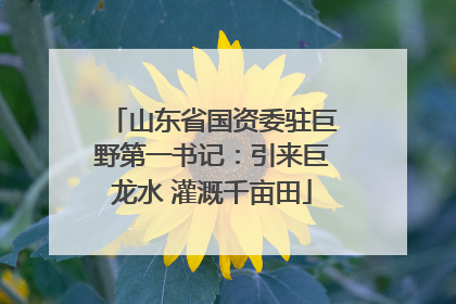 山东省国资委驻巨野第一书记：引来巨龙水 灌溉千亩田