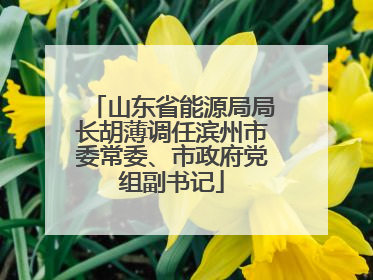 山东省能源局局长胡薄调任滨州市委常委、市政府党组副书记