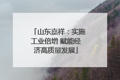 山东嘉祥：实施工业倍增 赋能经济高质量发展