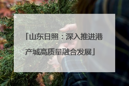 山东日照：深入推进港产城高质量融合发展