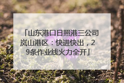 山东港口日照港三公司岚山港区：快进快出，29条作业线火力全开