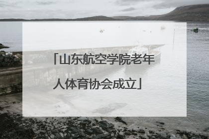 山东航空学院老年人体育协会成立