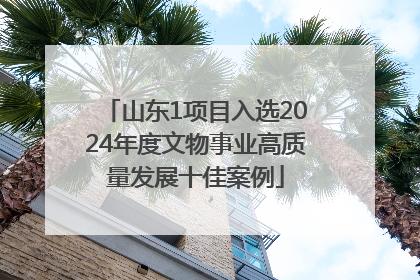 山东1项目入选2024年度文物事业高质量发展十佳案例