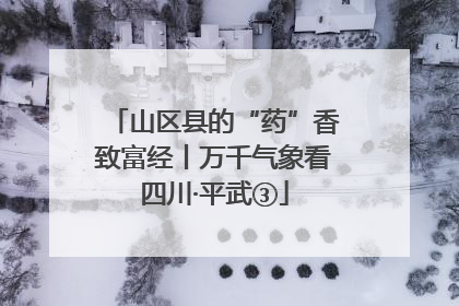 山区县的“药”香致富经丨万千气象看四川·平武③