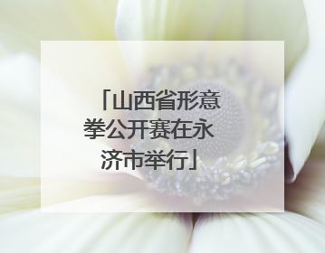 山西省形意拳公开赛在永济市举行