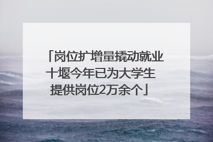 岗位扩增量撬动就业 十堰今年已为大学生提供岗位2万余个