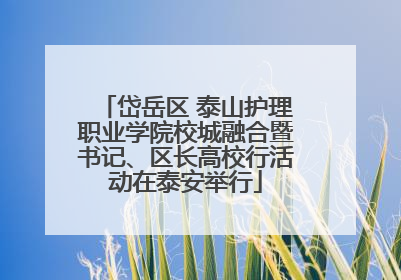 岱岳区 泰山护理职业学院校城融合暨书记、区长高校行活动在泰安举行