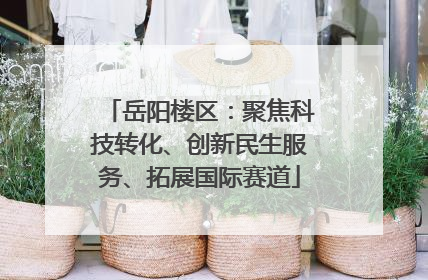 岳阳楼区：聚焦科技转化、创新民生服务、拓展国际赛道