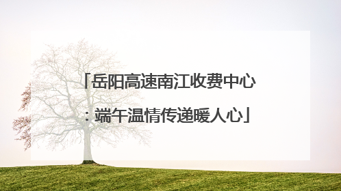 岳阳高速南江收费中心：端午温情传递暖人心