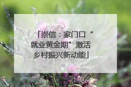 崇信：家门口“就业黄金期”激活乡村振兴新动能