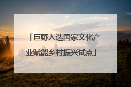 巨野入选国家文化产业赋能乡村振兴试点