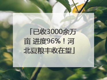 已收3000余万亩 进度96%！河北夏粮丰收在望