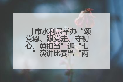 市水利局举办“颂党恩、跟党走、守初心、勇担当”迎“七一”演讲比赛暨“两优一先”表彰活动