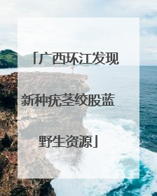 广西环江发现新种疣茎绞股蓝野生资源