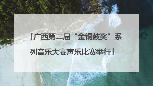 广西第二届“金铜鼓奖”系列音乐大赛声乐比赛举行