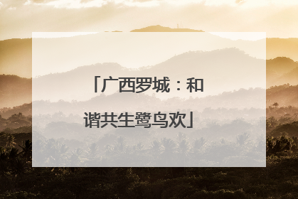 广西罗城：和谐共生鹭鸟欢