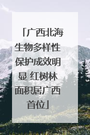 广西北海生物多样性保护成效明显 红树林面积居广西首位