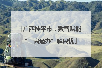 广西桂平市：数智赋能“一窗通办”解民忧