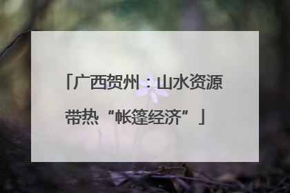 广西贺州：山水资源带热“帐篷经济”
