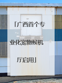 广西首个专业化宠物候机厅启用