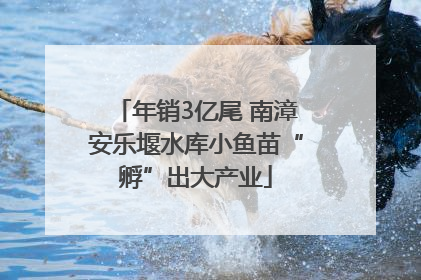 年销3亿尾 南漳安乐堰水库小鱼苗“孵”出大产业