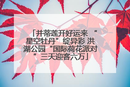 并蒂莲开好运来 “星空牡丹”绽异彩 洪湖公园“国际荷花派对”三天迎客六万