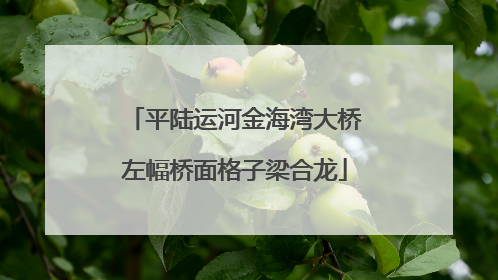 平陆运河金海湾大桥左幅桥面格子梁合龙
