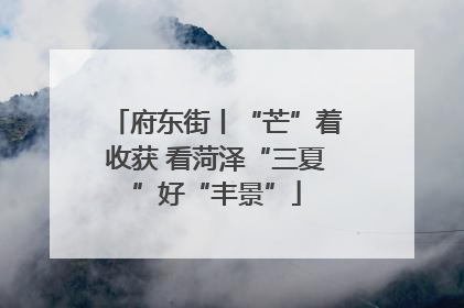 府东街丨“芒”着收获 看菏泽“三夏”好“丰景”