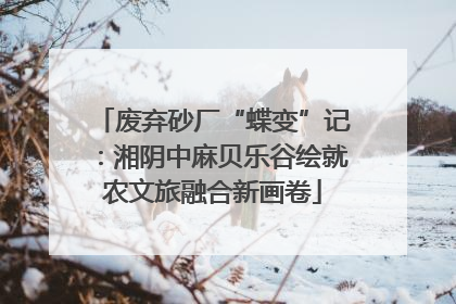 废弃砂厂“蝶变”记：湘阴中麻贝乐谷绘就农文旅融合新画卷