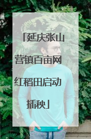 延庆张山营镇百亩网红稻田启动插秧