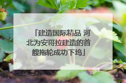 建造国际精品 河北为安哥拉建造的首艘拖轮成功下坞