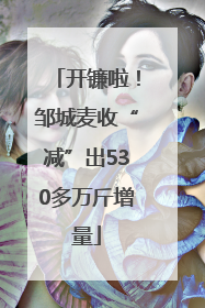 开镰啦！邹城麦收“减”出530多万斤增量
