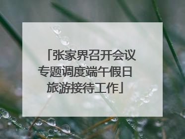 张家界召开会议专题调度端午假日旅游接待工作