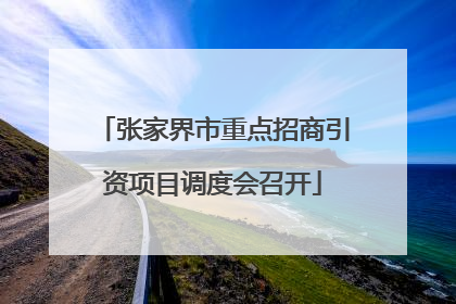 张家界市重点招商引资项目调度会召开