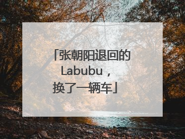 张朝阳退回的Labubu，换了一辆车
