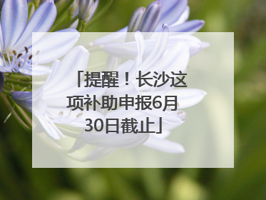 提醒！长沙这项补助申报6月30日截止