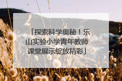 探索科学奥秘！乐山实验小学青年教师课堂展示绽放精彩
