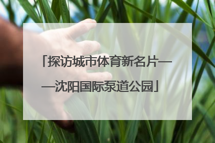 探访城市体育新名片——沈阳国际泵道公园