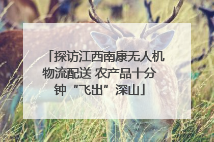 探访江西南康无人机物流配送 农产品十分钟“飞出”深山