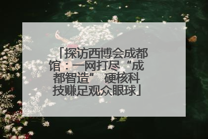 探访西博会成都馆：一网打尽“成都智造” 硬核科技赚足观众眼球