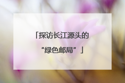探访长江源头的“绿色邮局”